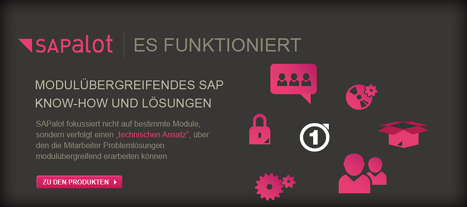 Modulübergreifendes SAP, Know-How und Lösungen