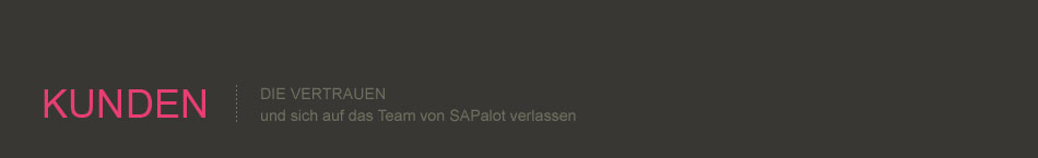 Kunden die vertrauen und sich auf das Team von SAPalot verlassen