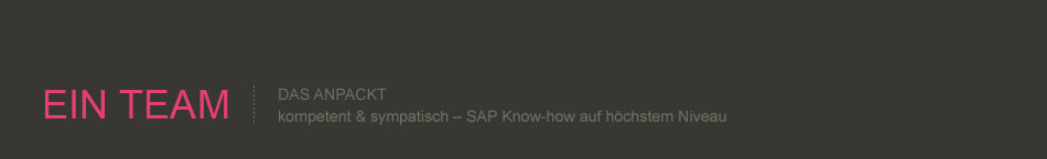 Ein Team das anpackt. Kompetent & sympatisch – SAP Know-how auf höchstem Niveau.